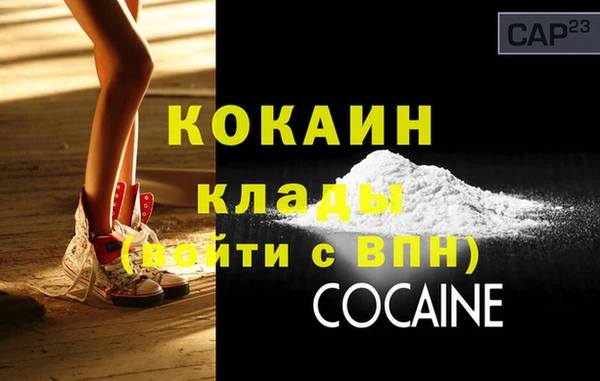 кокс Гусев