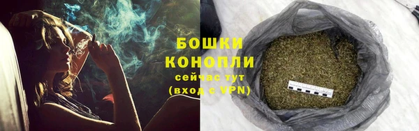 кокс Гусев