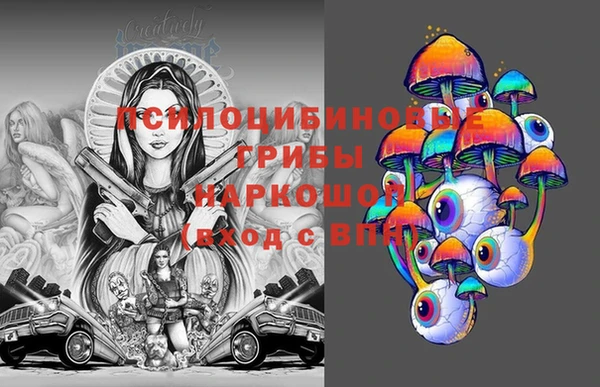 кокс Гусев