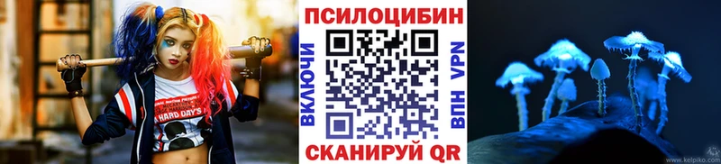 Галлюциногенные грибы Psilocybine cubensis  купить  сайты  Новосокольники 